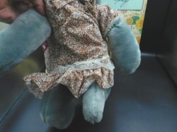 wrinkles dog print 4 c